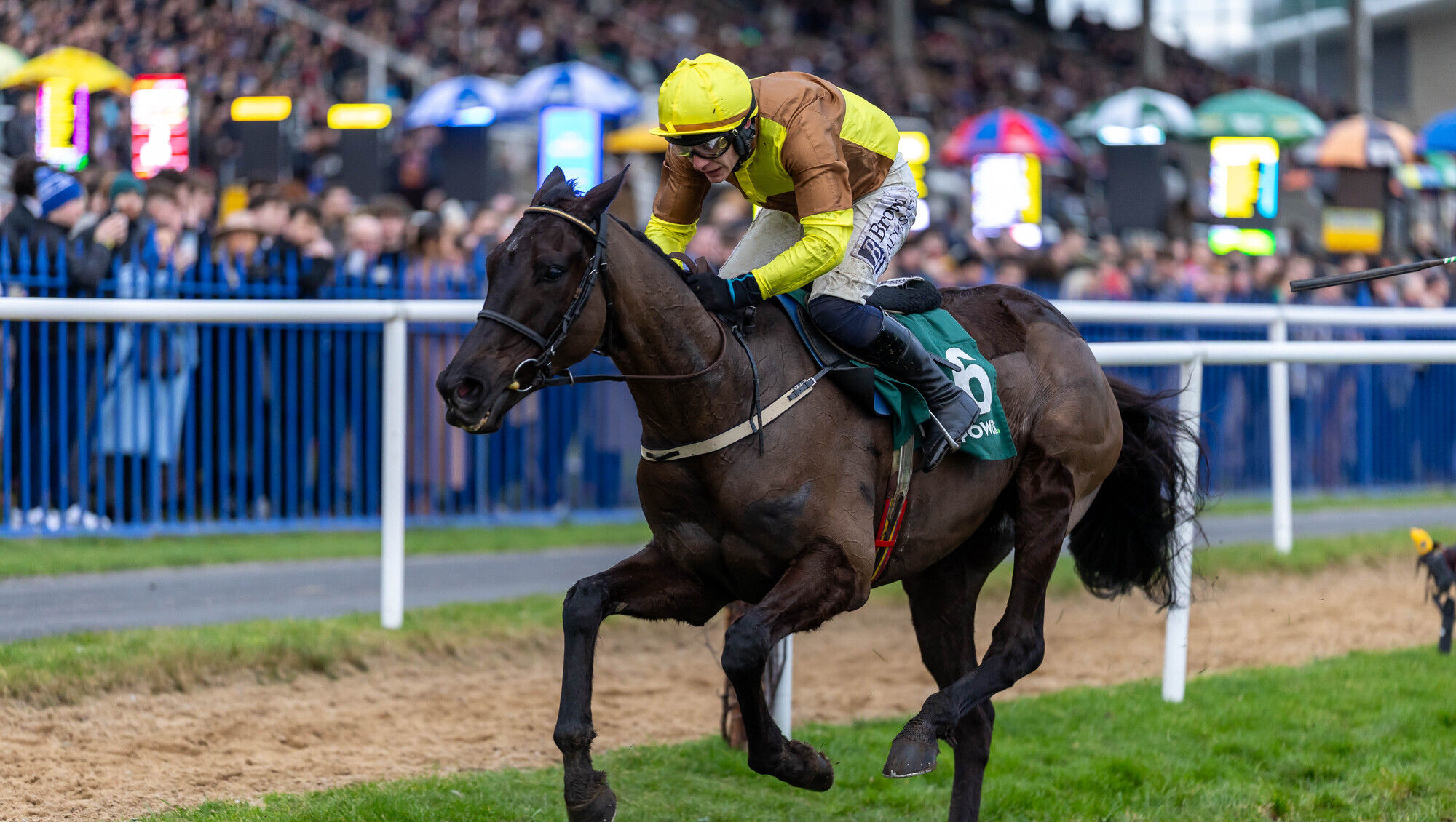 Bryan Cooper backing Galopin Des Champs to claim Gold Cup treble