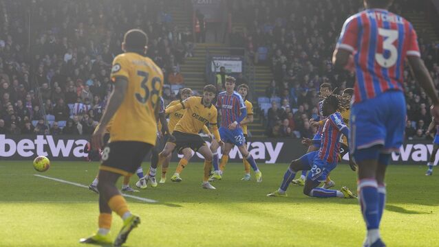 <p>Evann Guessand (centre right) netted a late winner for Crystal Palace (Jordan Pettitt/PA)</p>