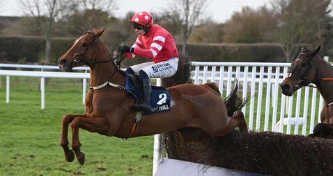Blood Destiny bounces back in style for Willie Mullins and Paul Townend in Naas