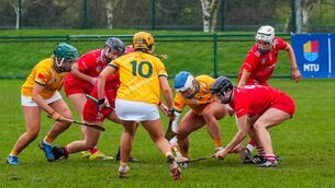 <p> A DOGFIGHT: Both sides feeling the pressure in a cracking contest at MTU Cork. Pic: Noel Sweeney</p>