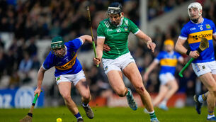 <p>Saturday was another reminder that Limerick have the best squad in the country. Pic: ©INPHO/James Lawlor</p>