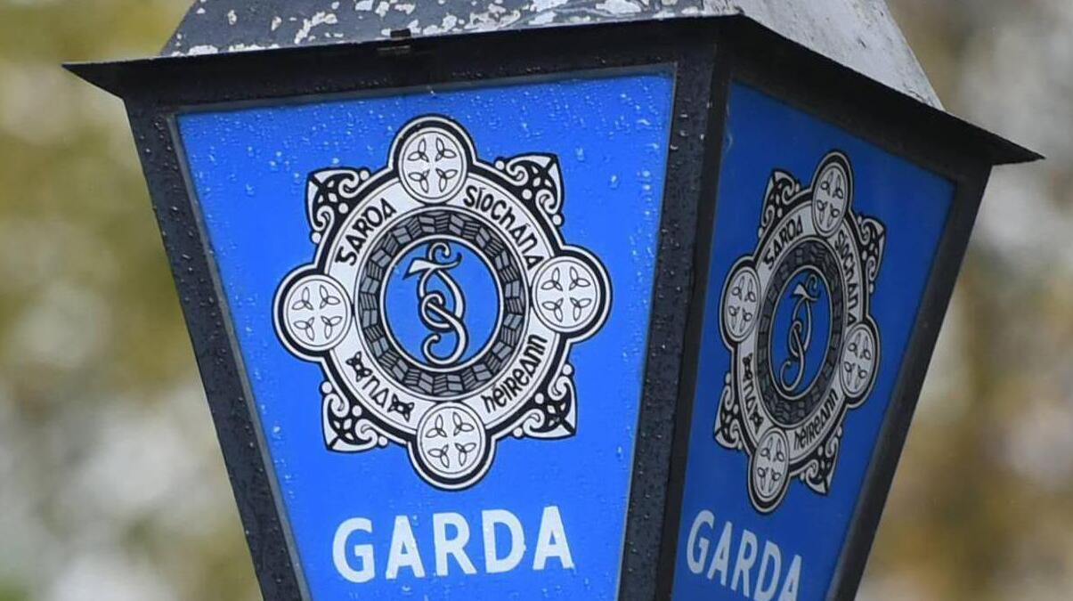 Investigation launched after man dies in garda custody in Waterford