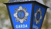 Investigation launched after man dies in garda custody in Waterford
