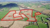 57-acre Kilkenny farm a very tempting auction prospect