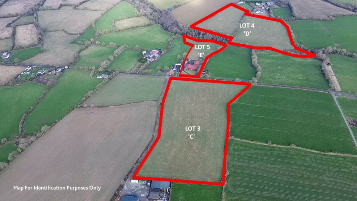 Lots 3,4 and 5 of the five lots of the farm at Garraun Upper, Rathnure, Co. Wexford. Lots 3,4 and 5 of the five lots of the farm at Garraun Upper, Rathnure, Co. Wexford.