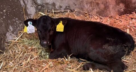 Paula Hynes: You win some, and lose some