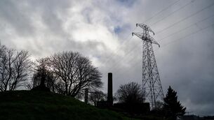 <p>Wholesale electricity prices were more than 24% lower compared to the same month last year.</p>