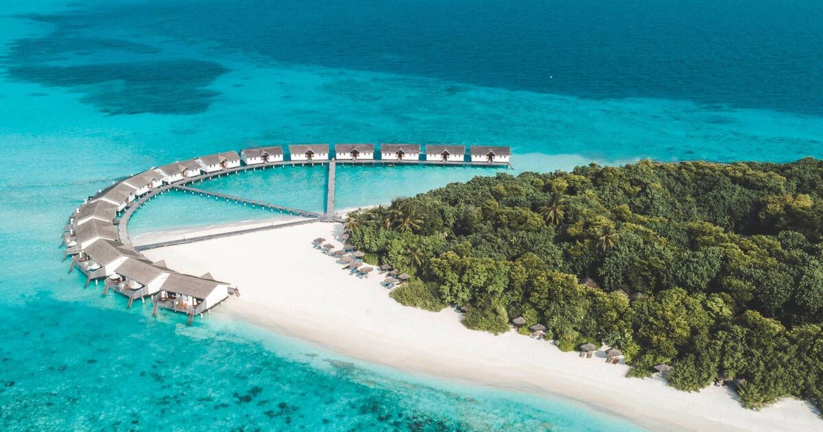 Swimming with endangered sea turtles in the Maldives was nothing short of a miracle