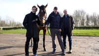 Ben Pauling and Harry Redknapp - Cheltenham Festival Media Morning - Naunton Downs Estate