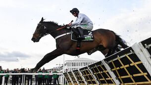 <p>A decision on whether Constitution Hill will run in next month's Champion Hurdle at Cheltenham is expected later this week. Pic: David Fitzgerald/Sportsfile</p>