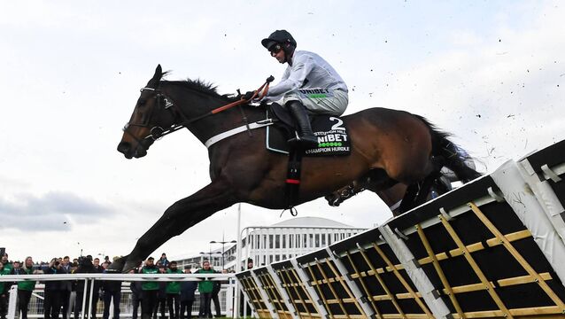 <p>A decision on whether Constitution Hill will run in next month's Champion Hurdle at Cheltenham is expected later this week. Pic: David Fitzgerald/Sportsfile</p>