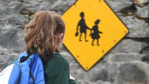 <p>Priority will be ensuring that the child-centred approach to the provision of special education is retained and enhanced. File picture: Larry Cummins</p>