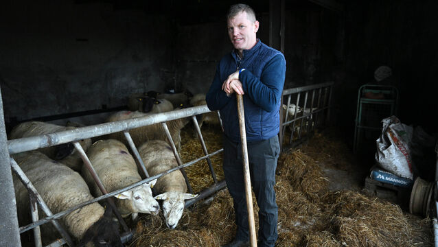 <p>Michael Forde, who runs a mixed sheep and cattle enterprise, says planning is important at lambing time. He expects the first lambs to arrive within the next week. Picture: Ray Ryan</p>
