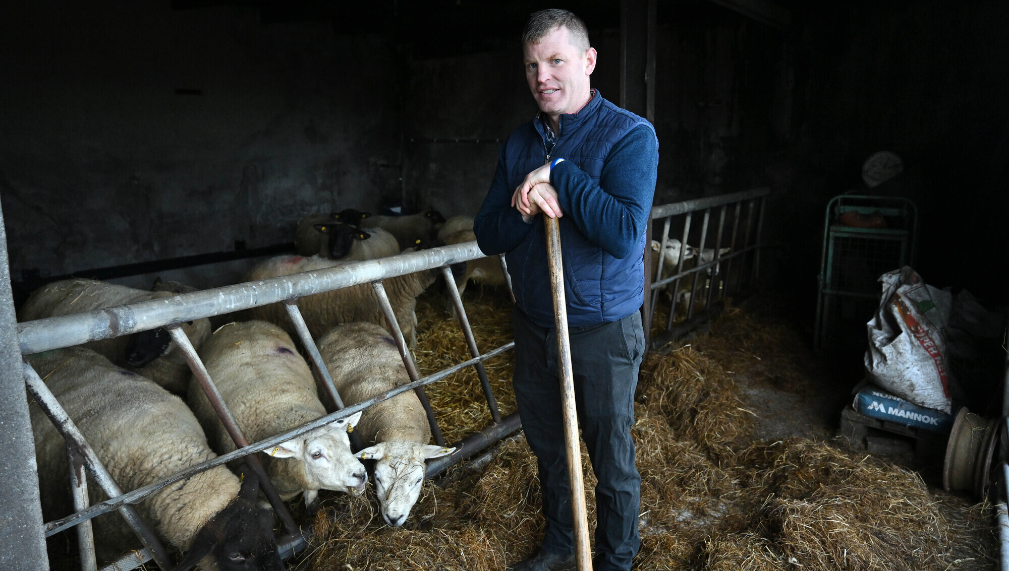 Signpost: Preparing for lambing in Galway with good systems and smart planning