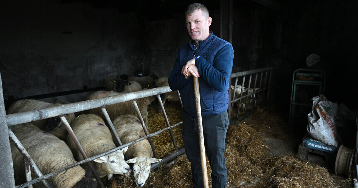 Signpost: Preparing for lambing in Galway with good systems and smart ...