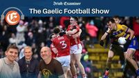 Dalo's Hurling Show: Covers come off Limerick, Tipp handbrake, Cats lost in translation