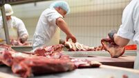 workplace food industry - factory butchery for the production of sausages - butcher cuts meat