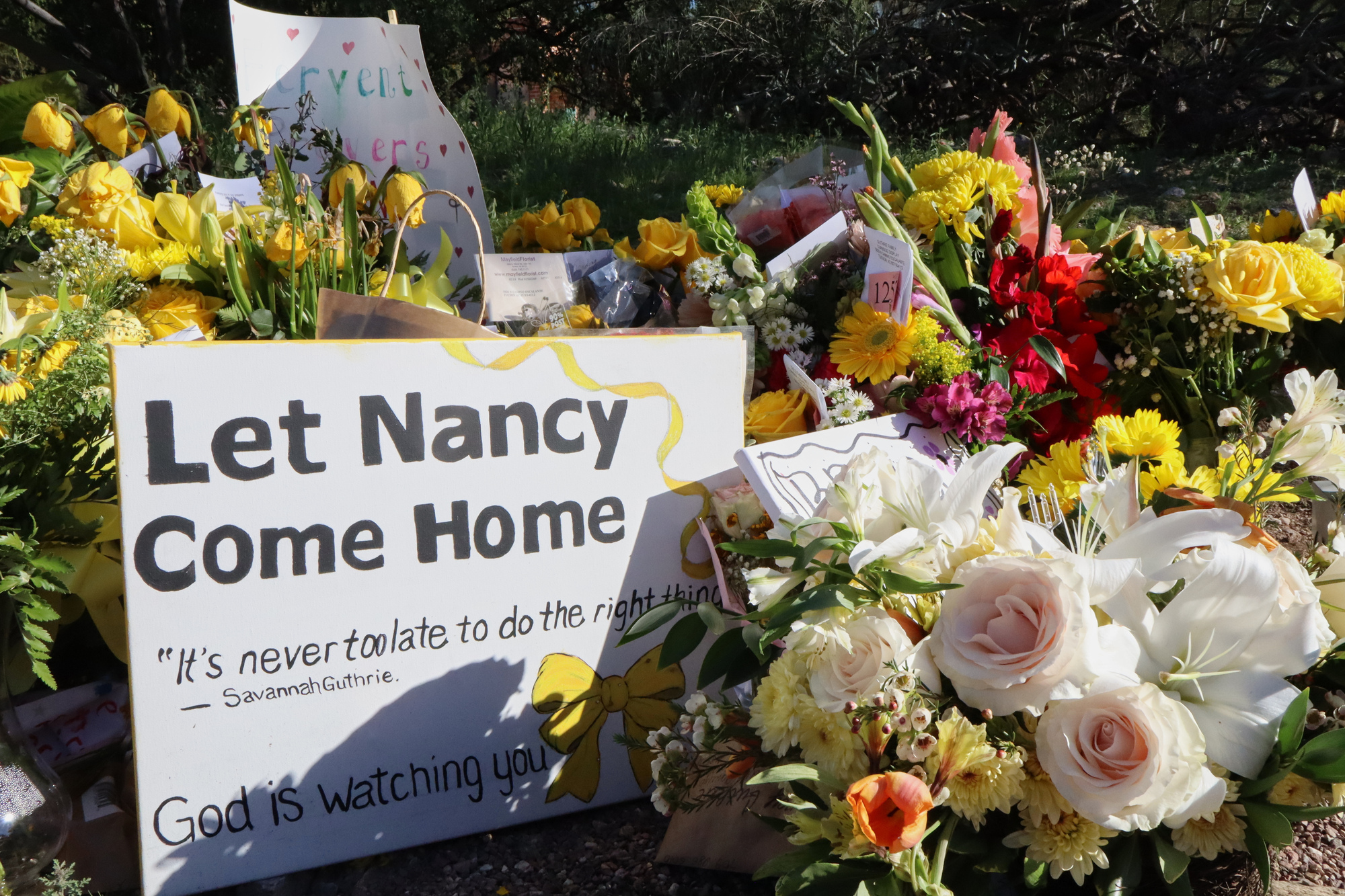 Savannah Guthrie’s family offers $1m for mother’s return