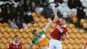 <p>Offaly's Cormac Egan and Seán McDonnell of Cork. Pic: Bryan Keane/Inpho</p>