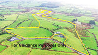 38a West Cork farm guiding €400k-€450k