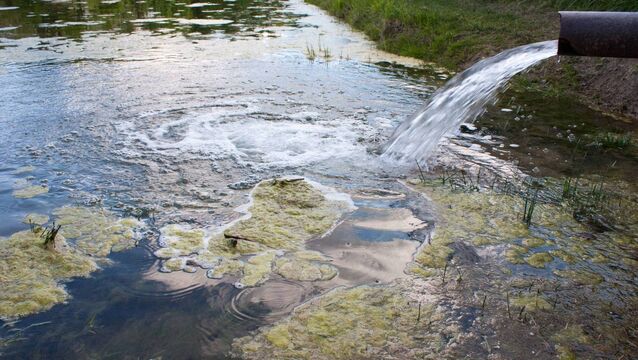 <p>The EPA said the 'ongoing and elevated risk of discharges that do not comply with licence conditions' threaten to cause an immediate adverse effect on the environment, particularly the ecological and chemical water quality of the River Allow.</p>