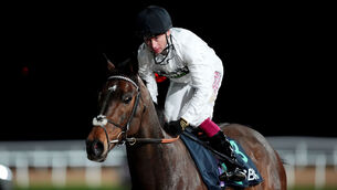 <p>Constitution Hill impressed on his debut on the Flat at Southwell on Friday. Pic: Mike Egerton/PA Wire.</p>