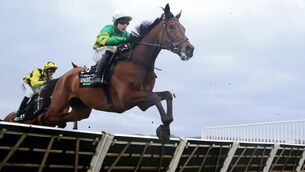 <p>CHAMPION CONTENDER: The New Lion en route to winning the Unibet Hurdle on Festival Trials Day at Cheltenham last month. Picture: Nigel French/PA </p> <p>CHAMPION CONTENDER: The New Lion en route to winning the Unibet Hurdle on Festival Trials Day at Cheltenham last month. Picture: Nigel French/PA </p>