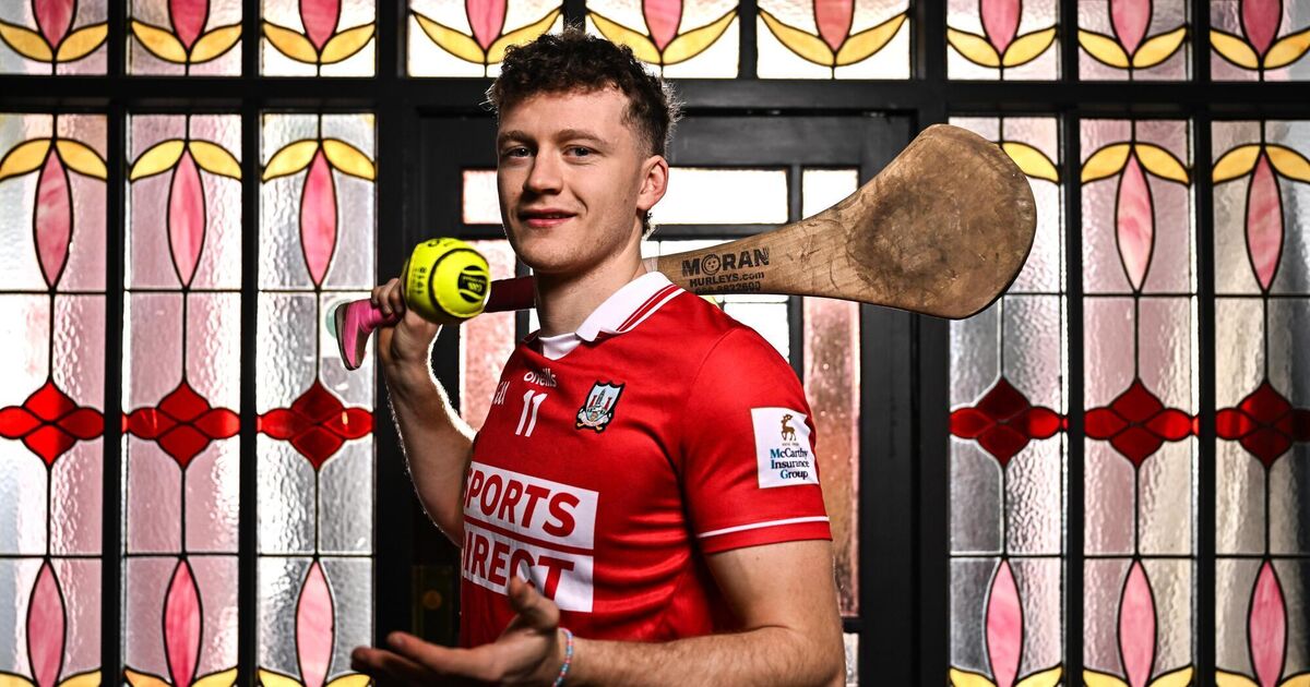 Alan Connolly says Cork hurlers must become more adaptive to avoid All-Ireland final repeat