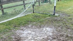 <p>The goalmouth in the Meelick pitch that hosted Clare v Wexford in the National Camogie League last weekend. Pic via Wexford journalist Dean Goodison</p>
