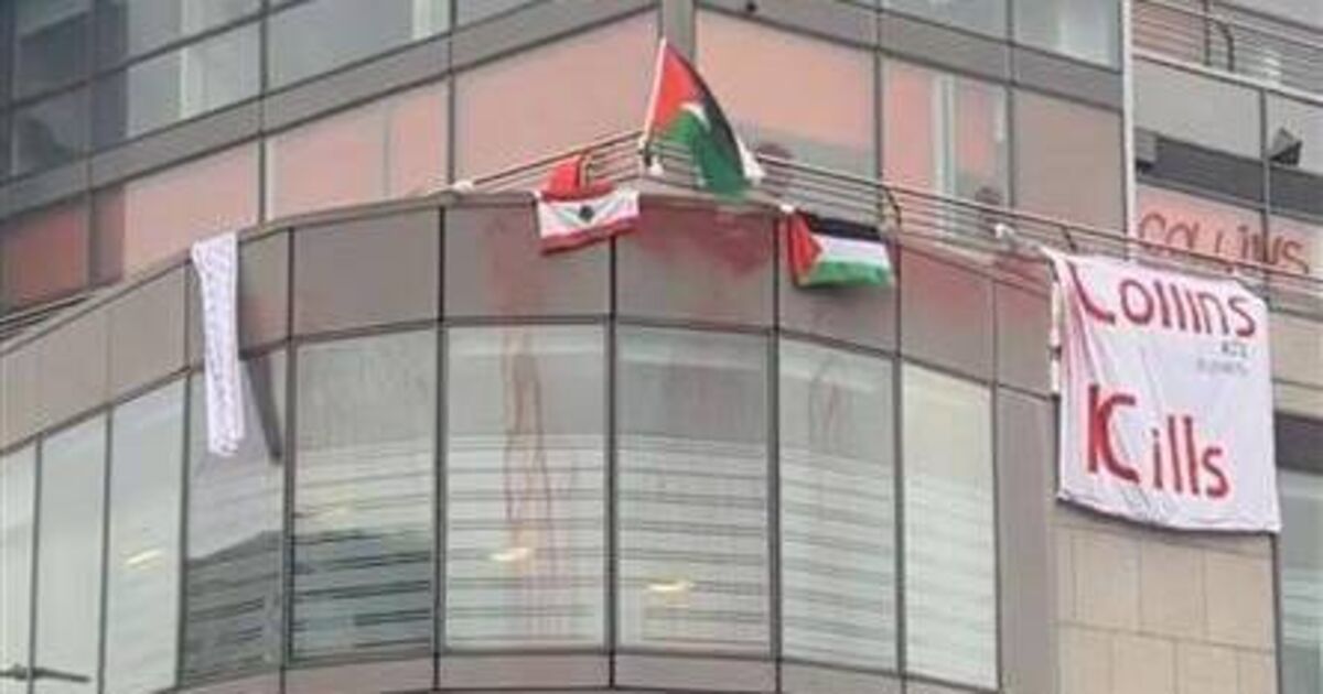 Palestine protest may have caused €100k of damage at Collins Aerospace in Cork, court told