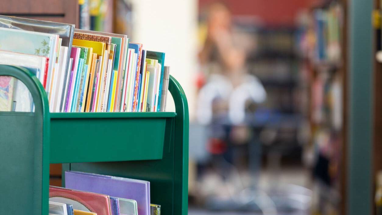 Colm O'Regan: Libraries are a tonic in these mad times