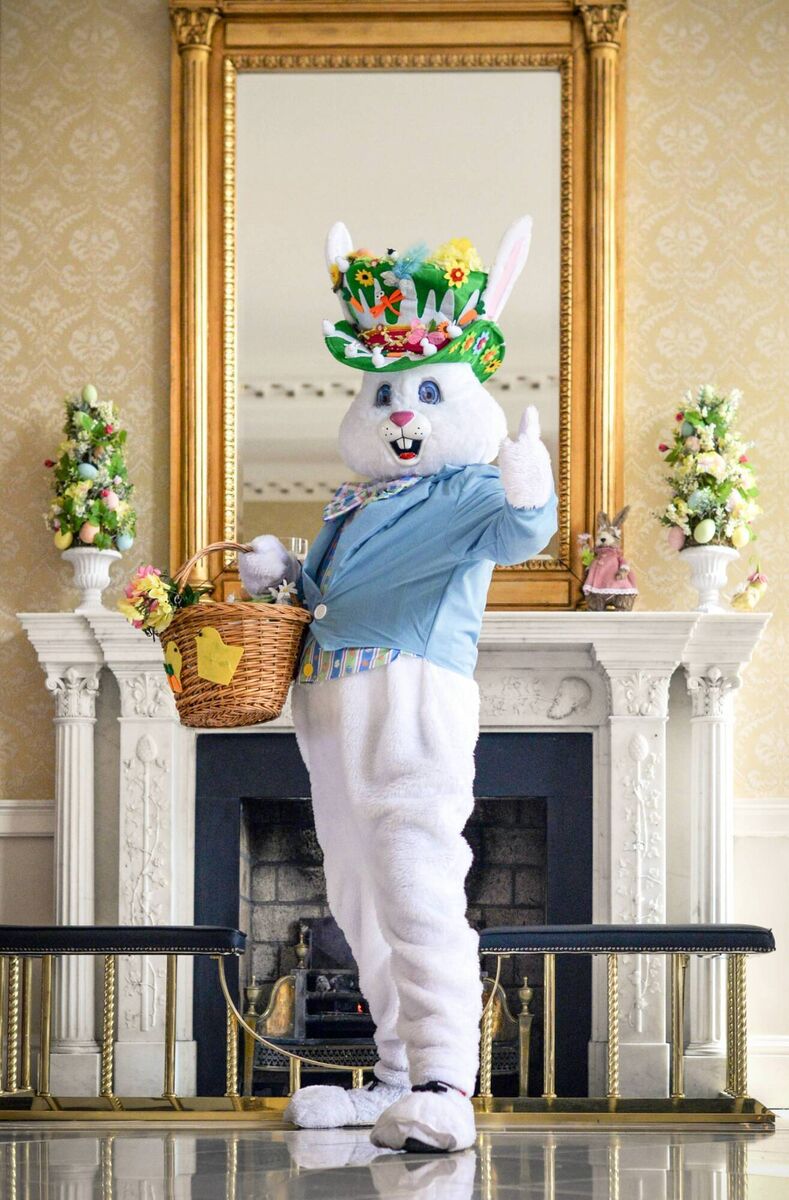  The K Club offers hundreds of acres to explore,