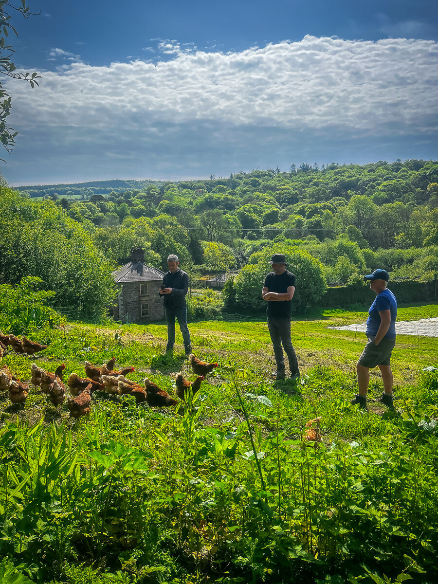 Mick Kelly, Richard Mee and Aine Maher