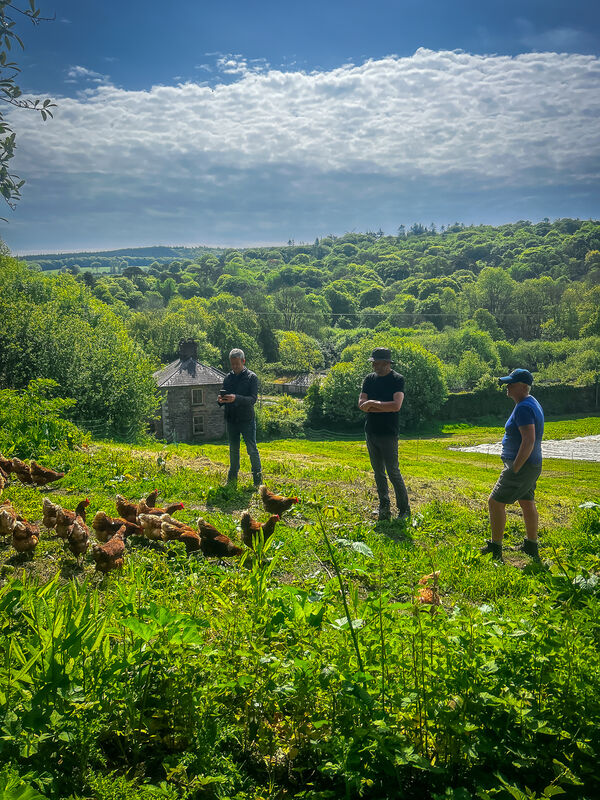 Mick Kelly, Richard Mee and Aine Maher