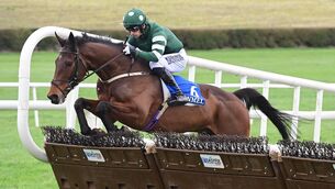 <p>GAMBLE LANDED: Kiely's Place and Patrick Mullins en route to winning the Irish Stallion Farms EBF Maiden Hurdle at Clonmel on Thursday. 	Picture: Healy Racing</p>