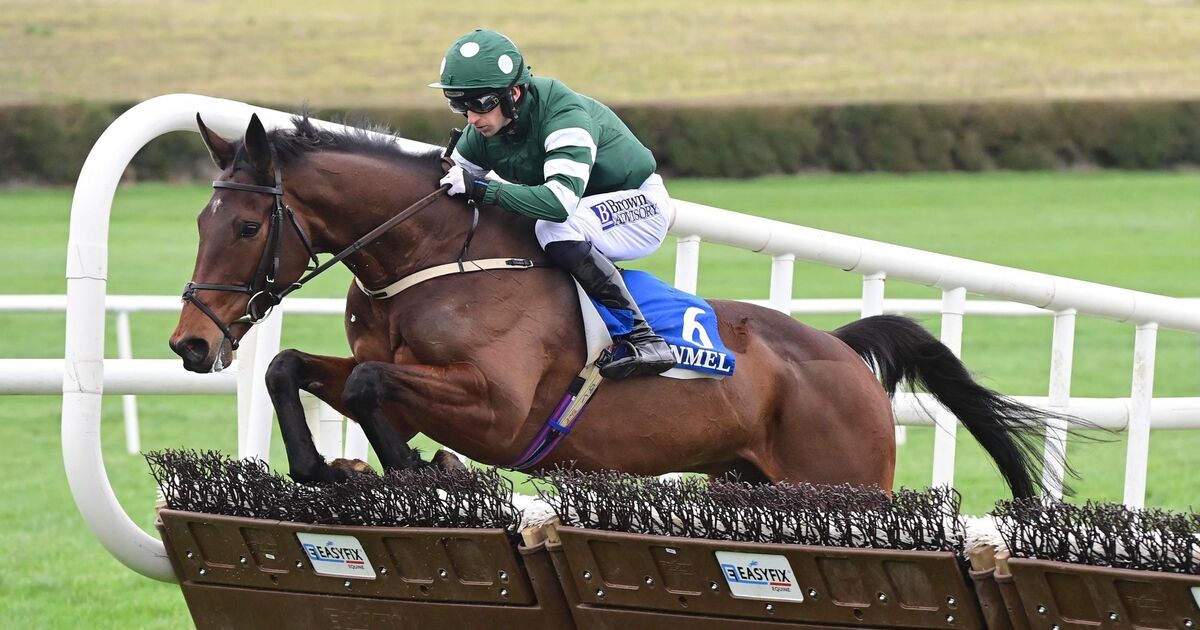 Kiely’s Place justifies market confidence to land Clonmel spoils 