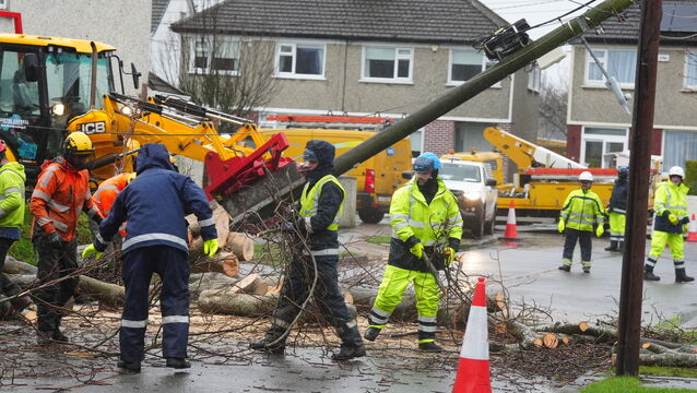 <p>Workers clearing a fallen tree on Grove Park Drive in Dublin as ESB networks sought to reconnect homes and businesses across the country after Storm Éowyn wreaked havoc throughout the country in late January.</p>