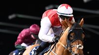 Ocean Manifest can defy top-weight and complete Dundalk hat-trick