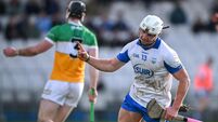 Waterford v Offaly - Allianz Hurling League Division 1A
