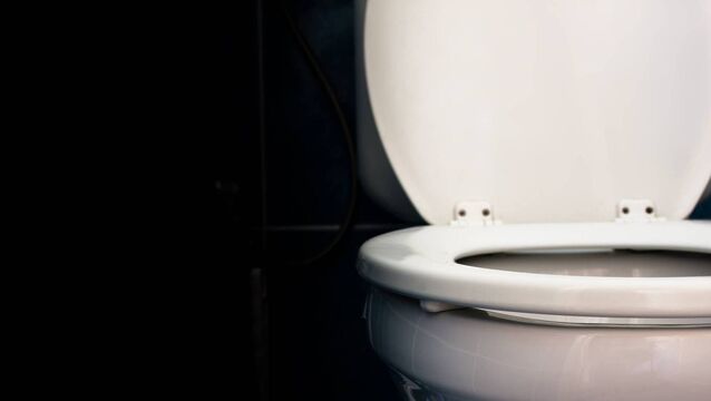 <p>"If you go to court over a guy peeing on the toilet seat, they will tell you to go home."</p>