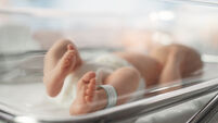 Cute Little Caucasian Newborn Baby Lying in Bassinet in a Maternity Hospital. Portrait of a Tiny Playful and Energetic Child wit