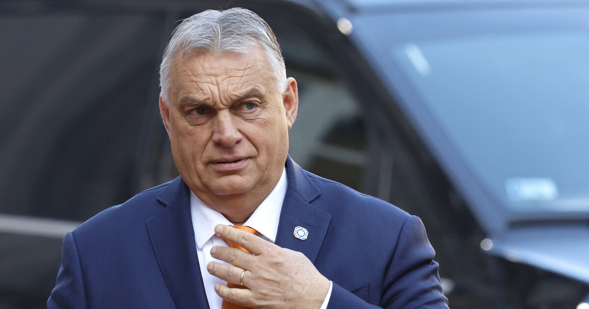 Shona Murray: EU's failure to rein in Orban could threaten veto of small nations like Ireland
