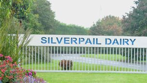 <p>Cork ice cream maker Silver Pail is to be acquired by Spanish ice cream giant Grupo Alacant in a multimillion euro deal, subject to regulatory clearance, it was announced on Friday. Picture: Larry Cummins</p>