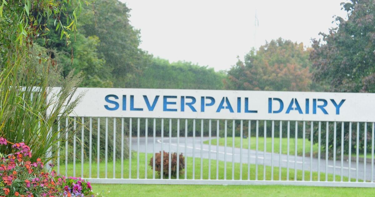 Cork ice-cream firm Silver Pail set for multimillion euro takeover by Spanish giant
