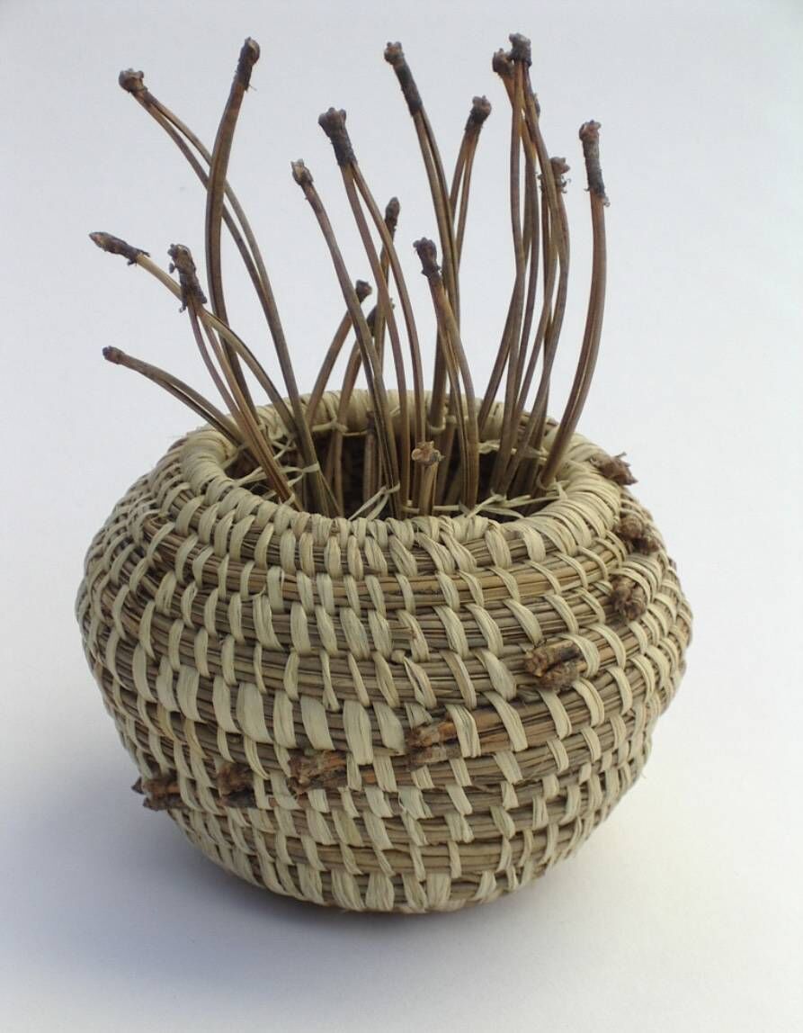 'Ailm II', Anne Harrington Rees