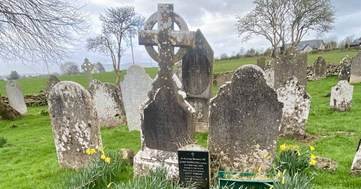 Descendants to restore grave of Cork man who plotted 1880s dynamite attack on Britain