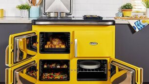 <p>The handsome blocky lines of the Stanley Nua contain an all-electric radiant oven cooker with a hot plate/induction hob and three roomy ovens. Think twice before vouching for fossil fuel ranges. From €9,995, from Waterford Stanley suppliers.</p>