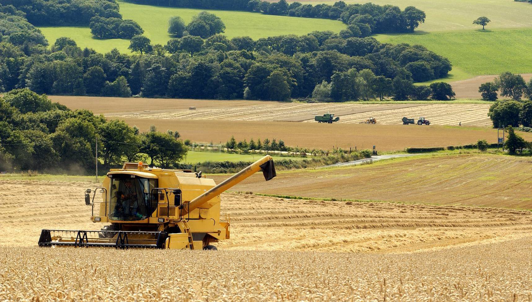 Support package worth €30m to the tillage sector announced