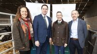 Minister announces opening of the Forestry Knowledge Transfer Group Scheme 2026