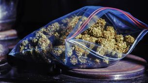 <p>Gardaí found the €19,000 worth of cannabis two months after a stash of almost 10 times that amount was found. File picture</p>